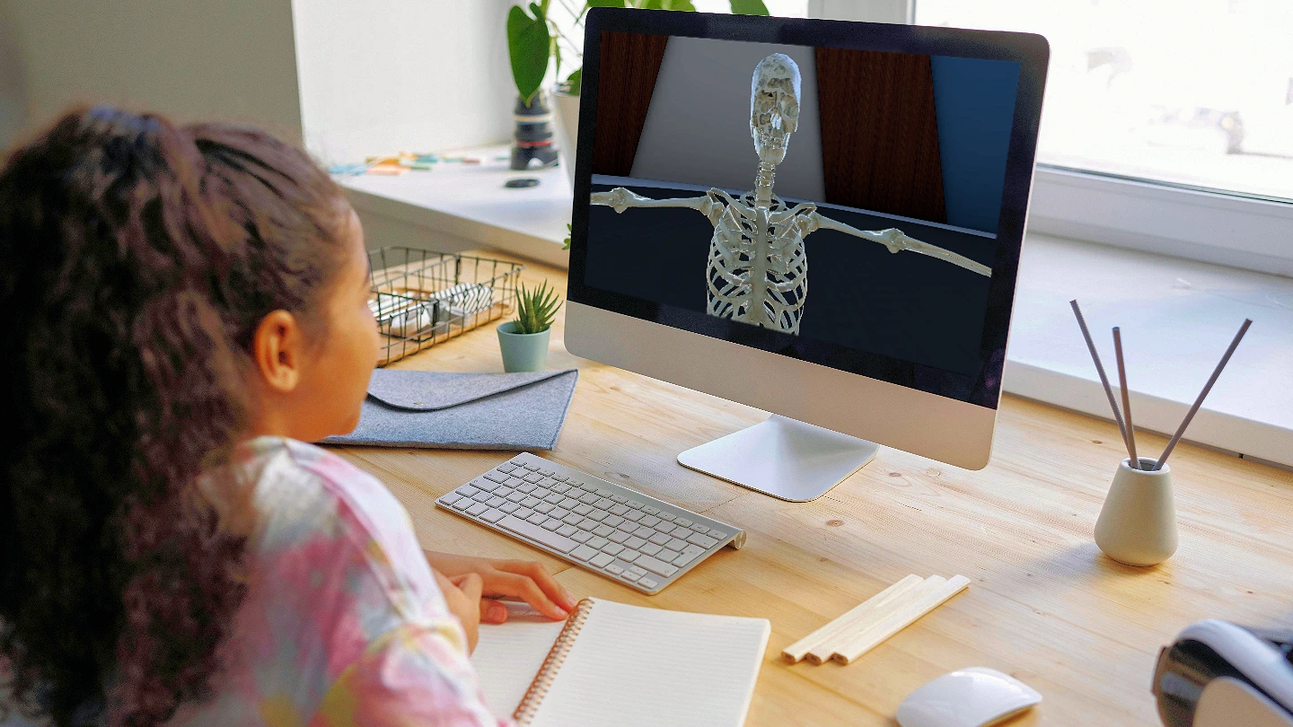 Enhancing Anatomy Learning through Immersive VR Technology